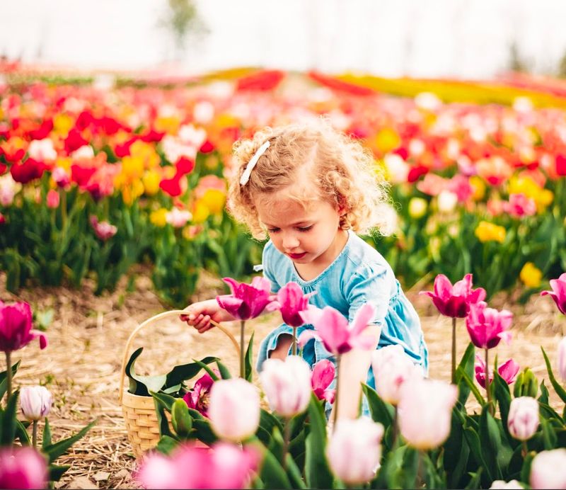 U-Pick Experience and Visitor Activities