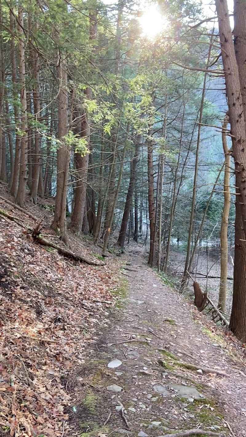 Golden Eagle Trail - Cammal, PA