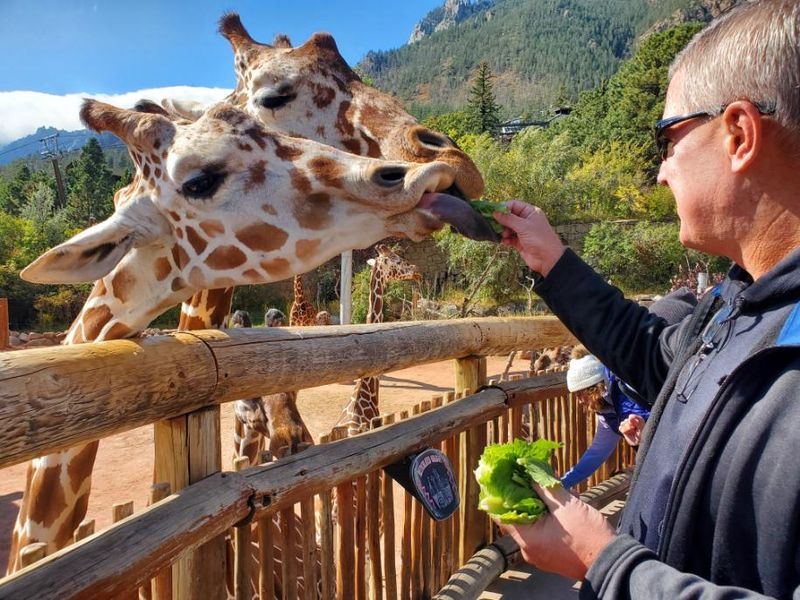 Cheyenne Mountain Zoo - Colorado Springs, CO