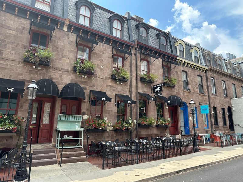 White Dog Cafe, University City