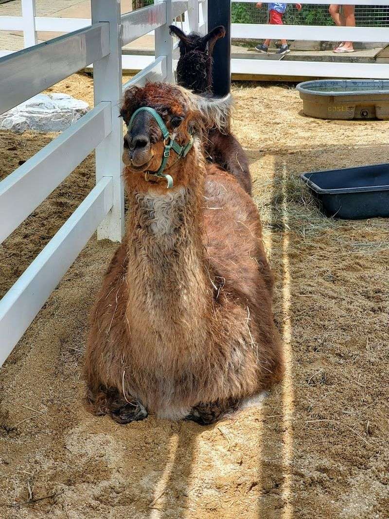 Fun, Interactive Experiences