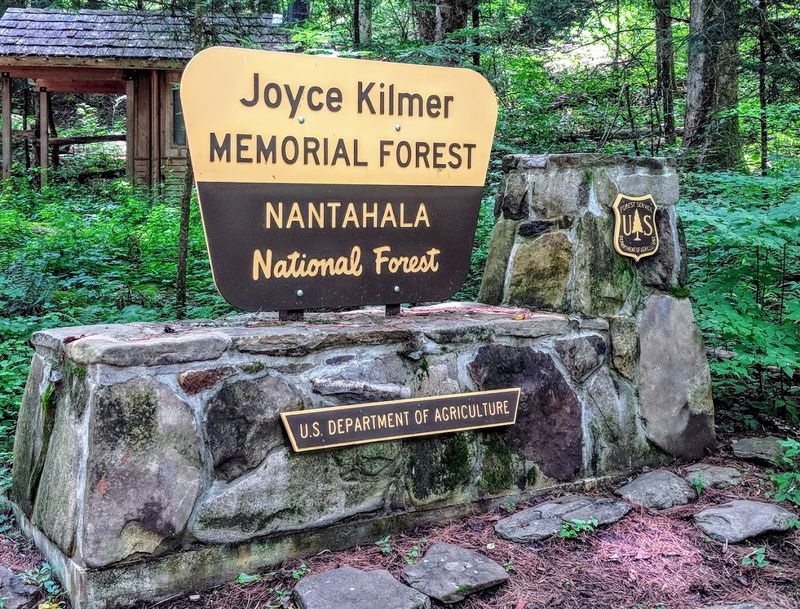 Joyce Kilmer Memorial Forest