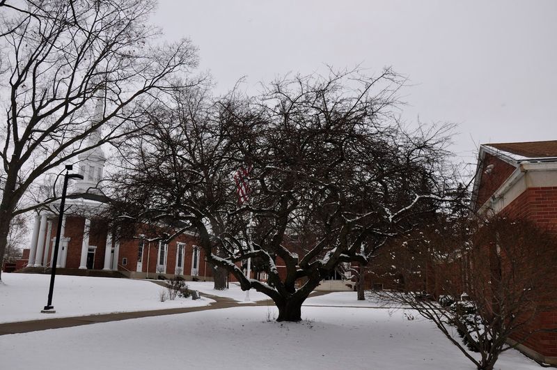 Alma College and Its Classic Campus Beauty