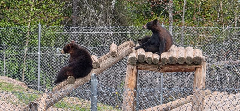 A Nonprofit Sanctuary Supported Entirely by Visitor Fees