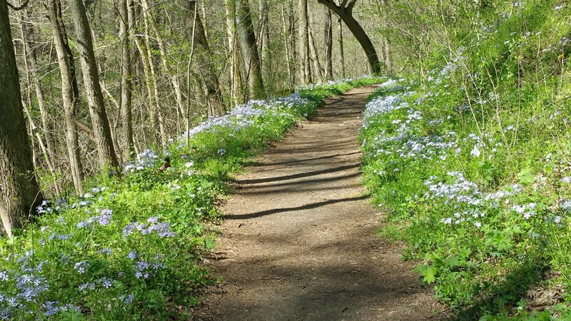 The Easy, Family-Friendly Trail Layout
