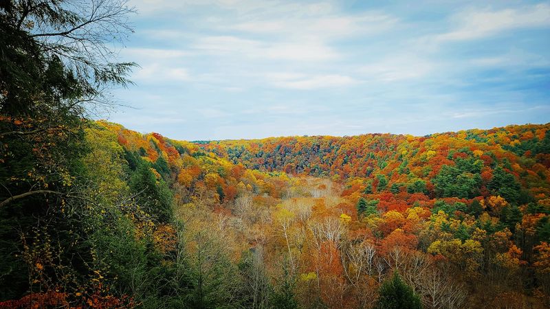 Seasons at Mohican: Fall Color to Winter Quiet