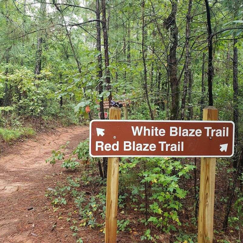 Quiet Corners Worth Finding