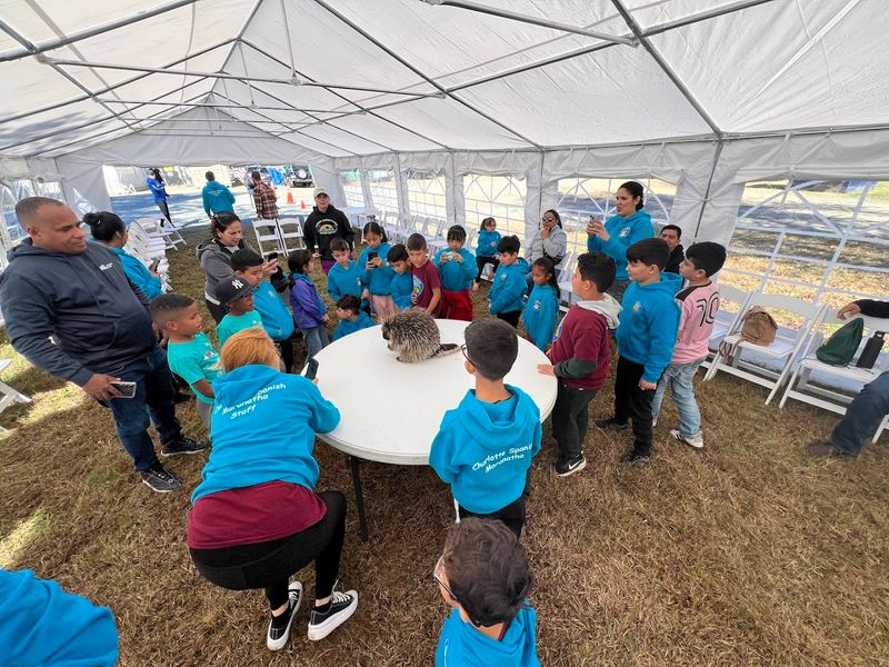 Visitor Info and Tips