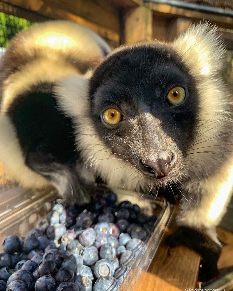 Photography Without Stress