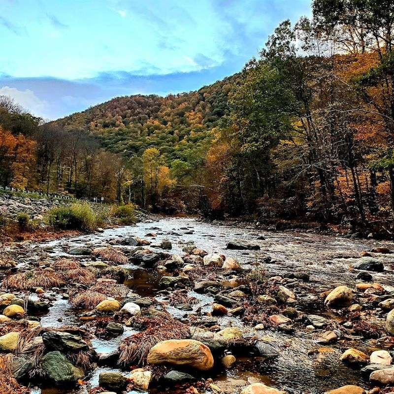 Mohawk Trail State Forest