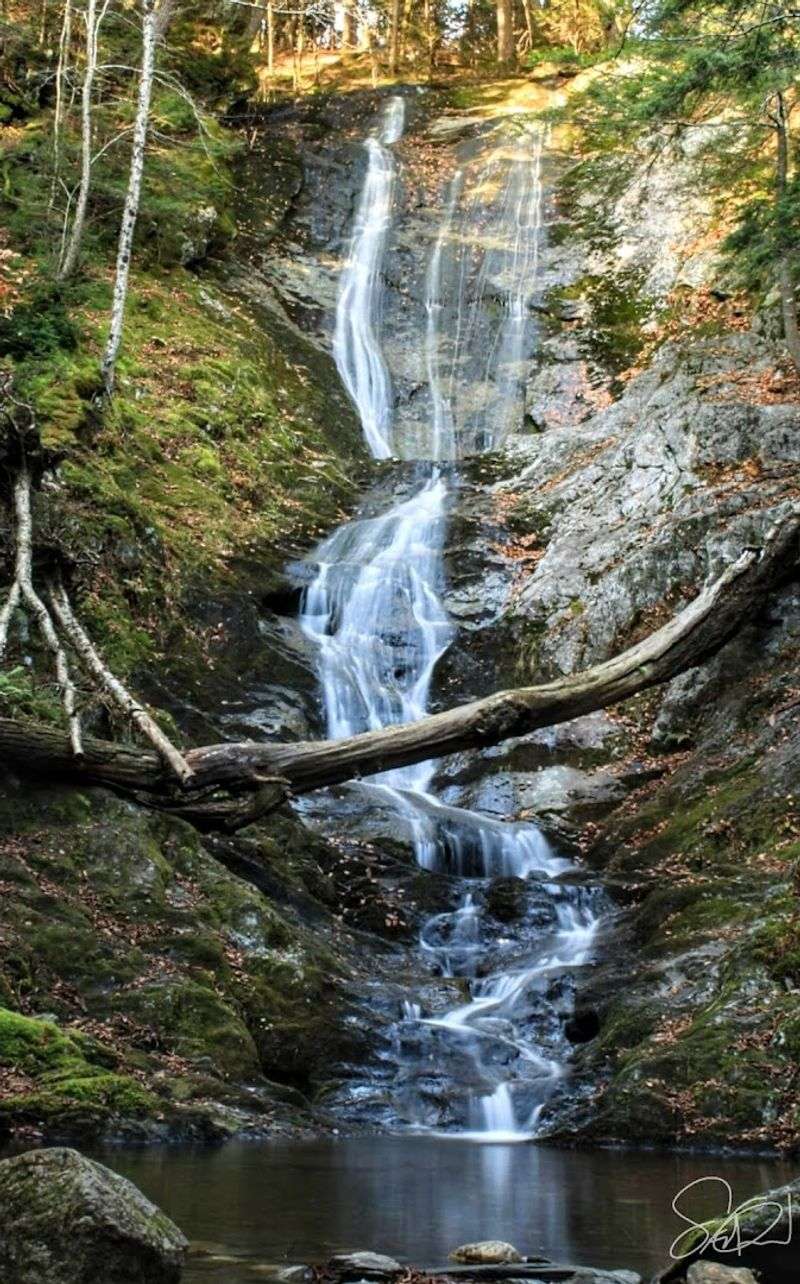 Tannery Falls (Savoy)