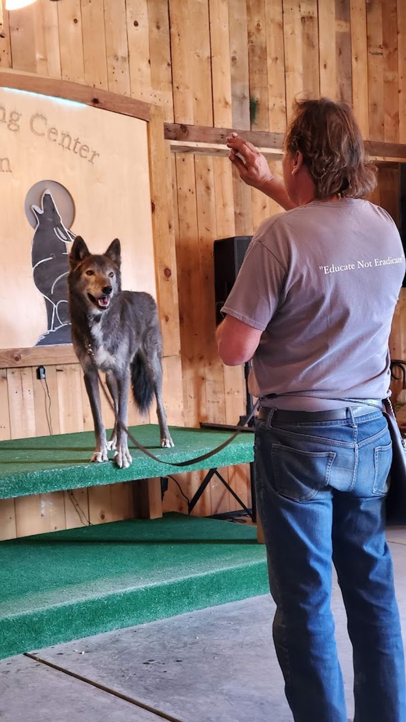 Educational Programs for All Ages