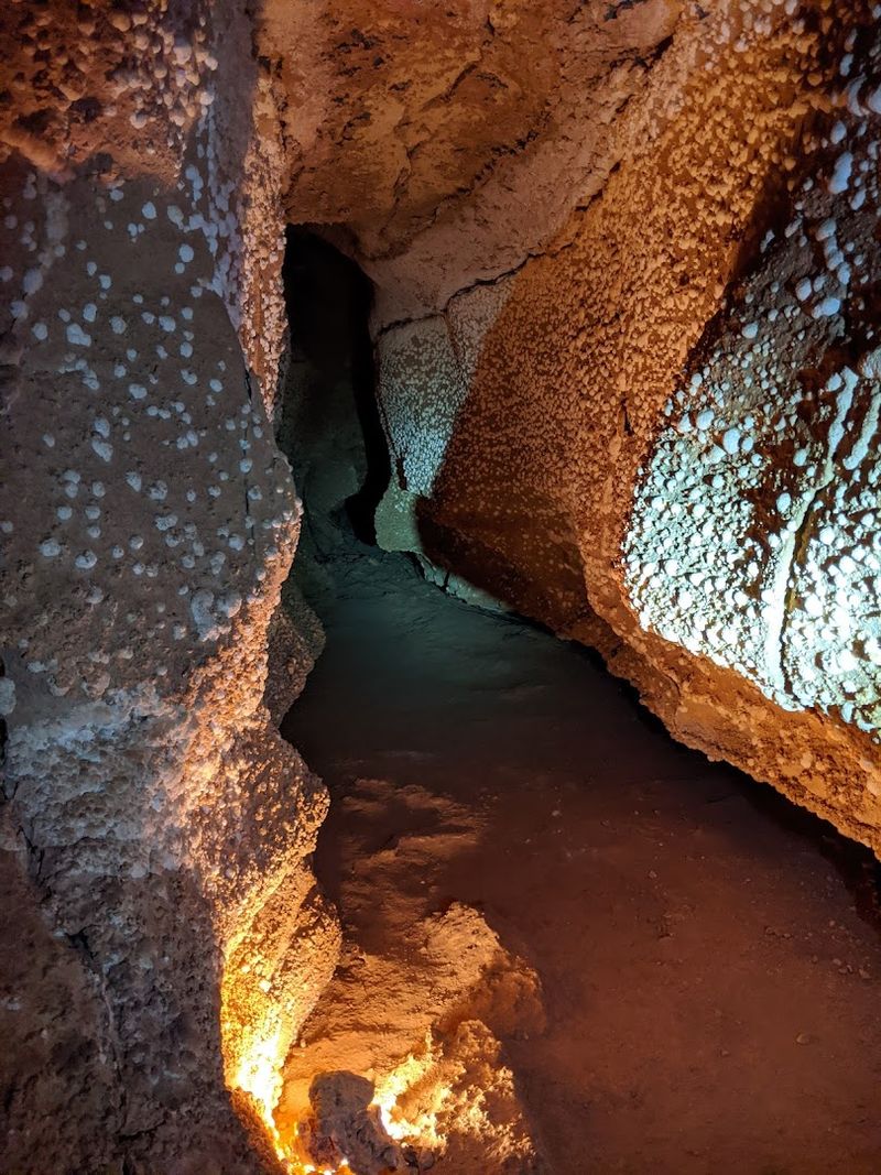 The Crystal Palace Tour: Your Gateway Underground
