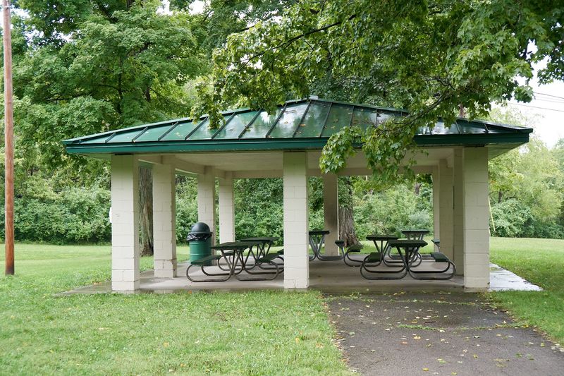 Settling In at a Picnic Table by the Water