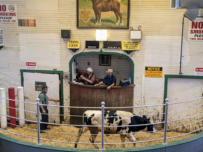 Kidron Auction, Ohio