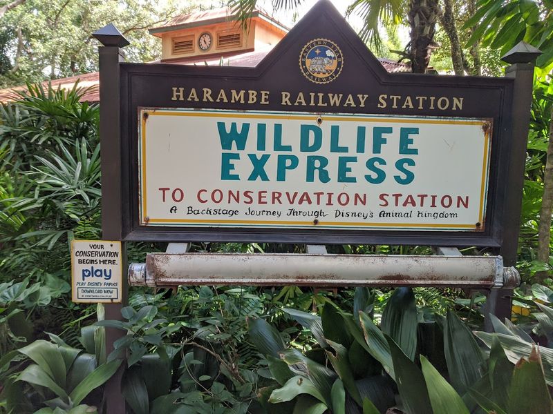 Wildlife Express Train - Animal Kingdom