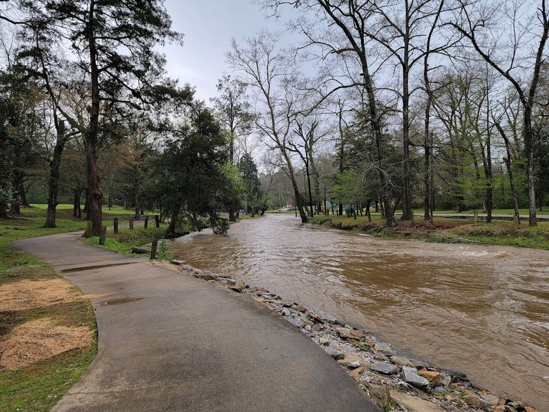 Discover Tinglewood's Magic