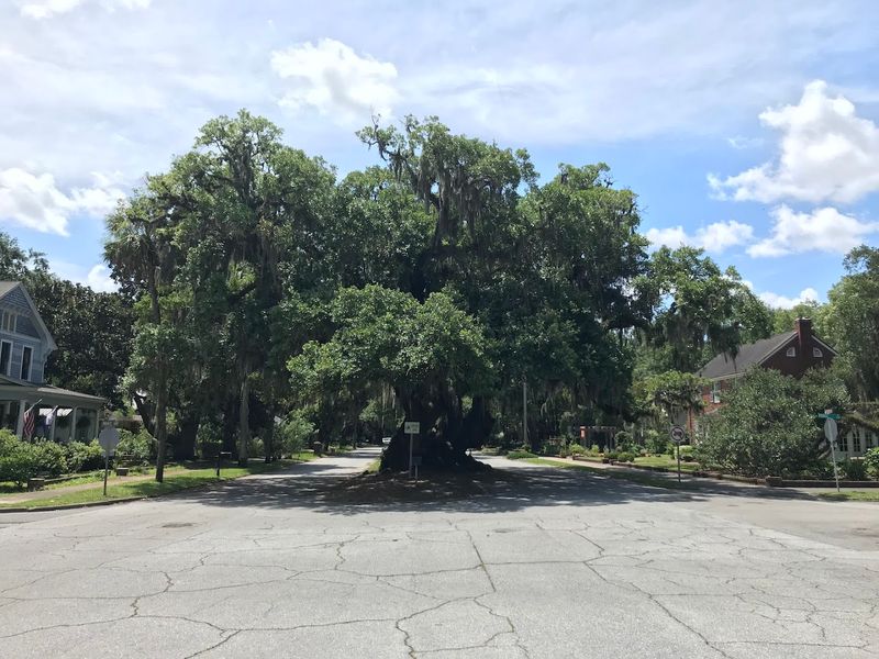 Stand Under Lover's Oak