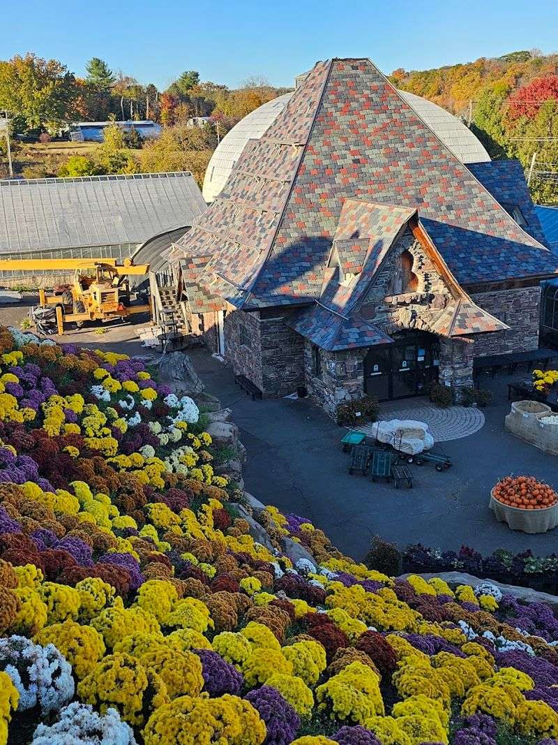 A Century-Old Family Business With a Remarkable Origin