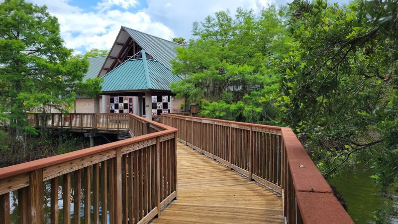 A Mile-Long Boardwalk Through the Heart of the Everglades