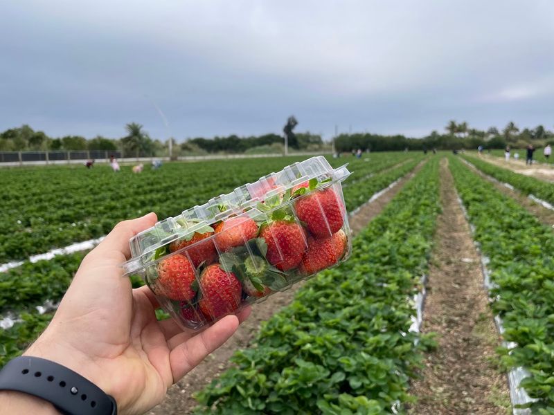 Practical Info, Hours, Tickets, and Budget