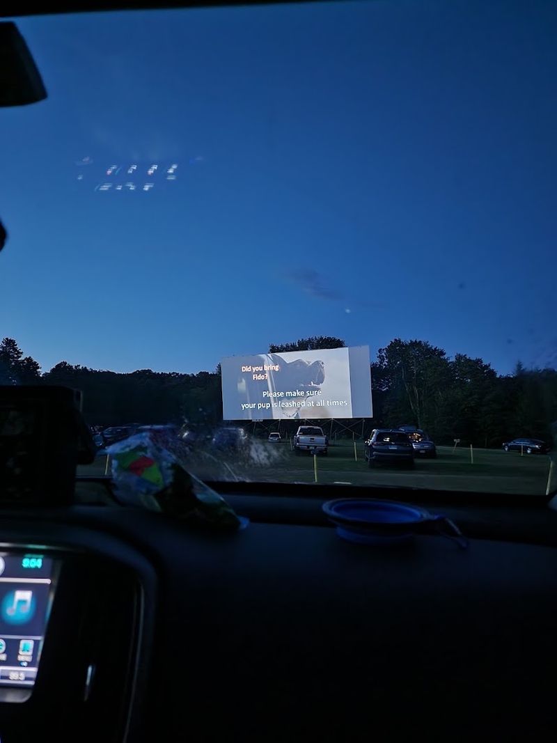 Radio Frequency Audio: The Retro Way to Hear Every Line of Dialogue