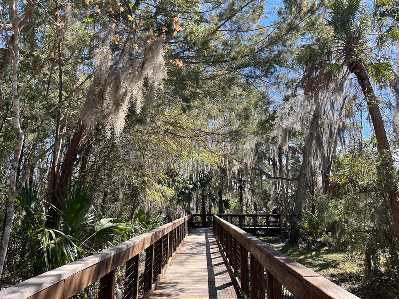 The Scenic Boardwalk and Nature Trail Experience