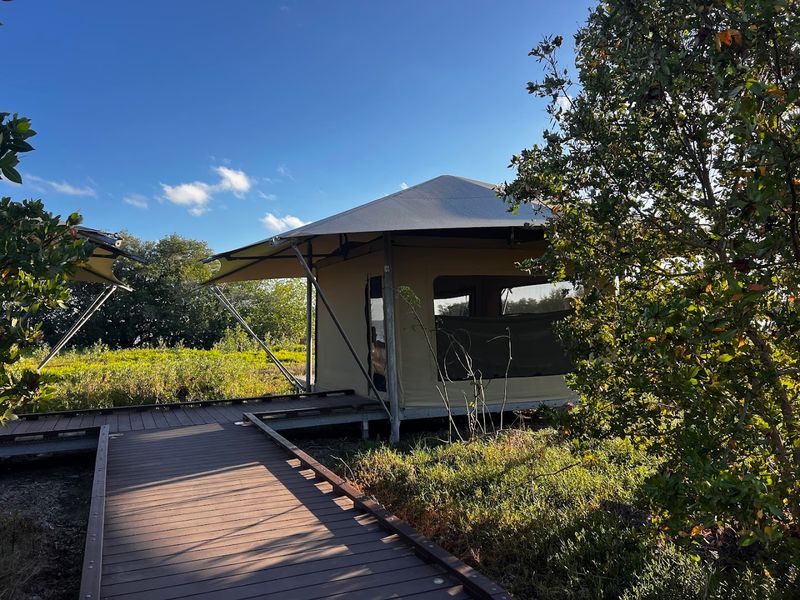 Flamingo Everglades Eco Tents, Everglades National Park