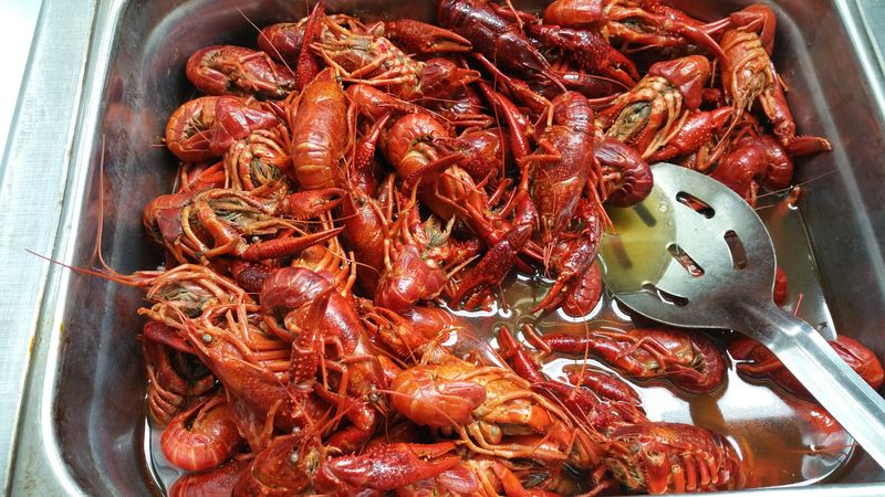 Seafood Buffet Nights: Timing and Hype