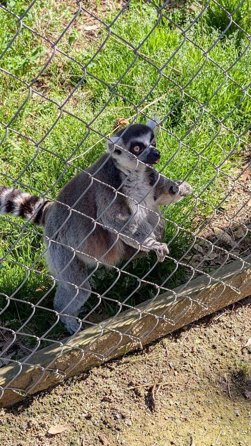 Up-Close Encounters with Exotic Animals