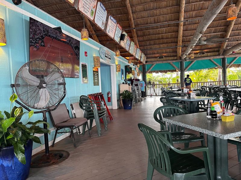 Service, Pacing, and Peak Hours