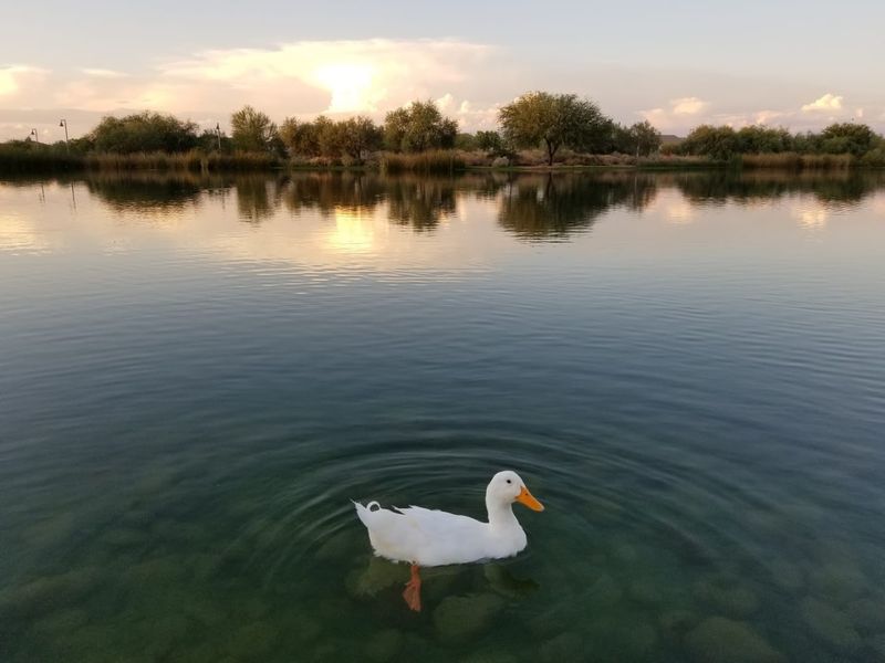 Essential Visitor Information