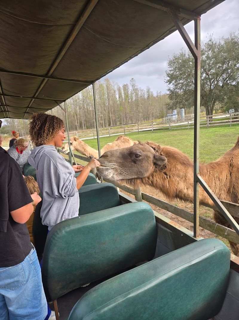 Conservation Mission and Animal Care at Safari Wilderness