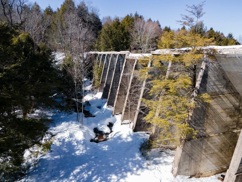 Wildlife And Seasonal Moods