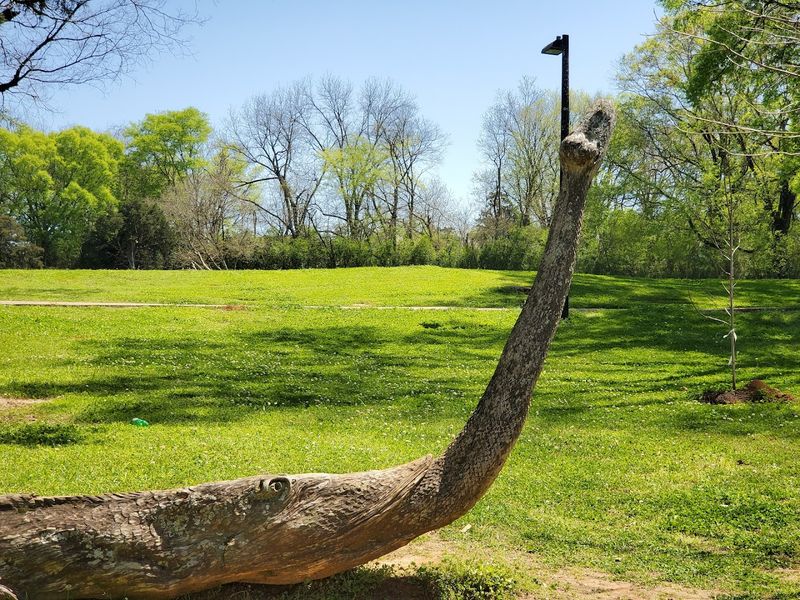 Trail Experience: Tinglewood Loop