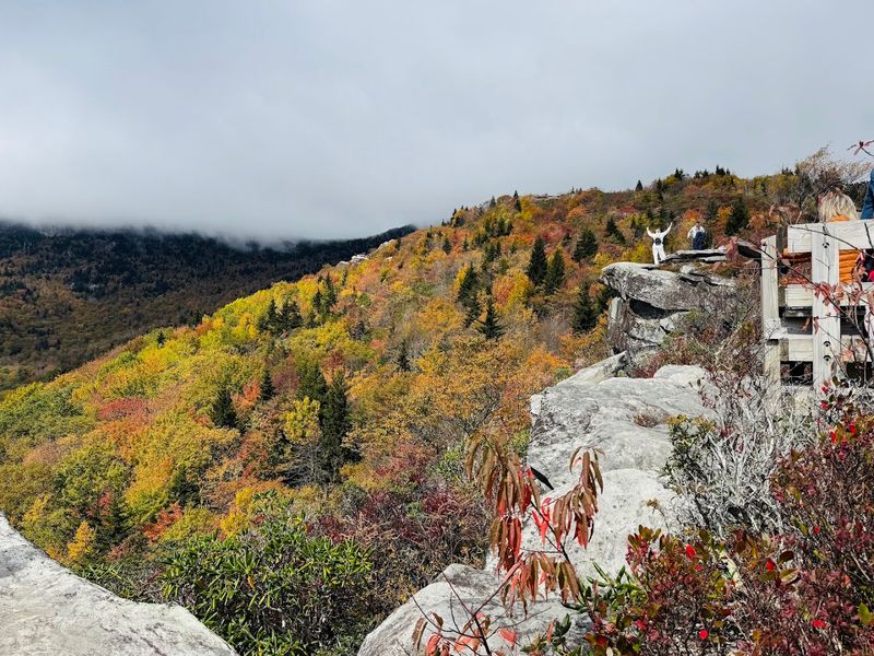 Best Time of Year to Visit Rough Ridge