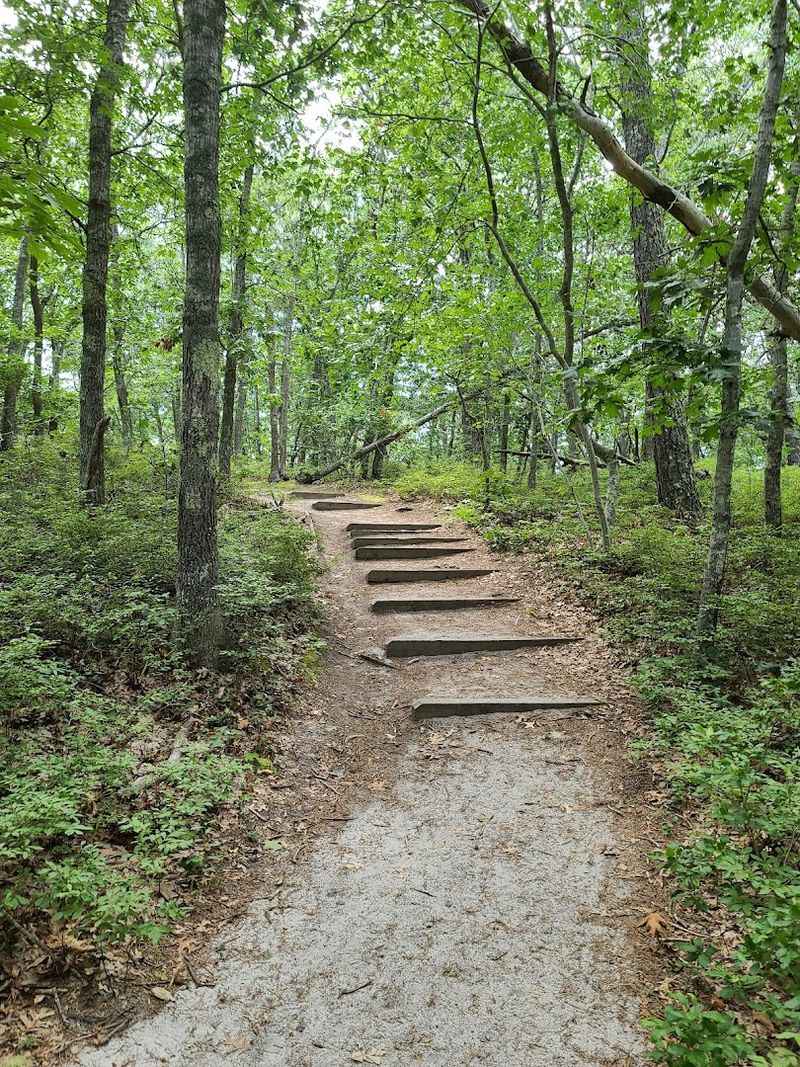 Why This Trail Deserves a Spot on Your Cape Cod Bucket List