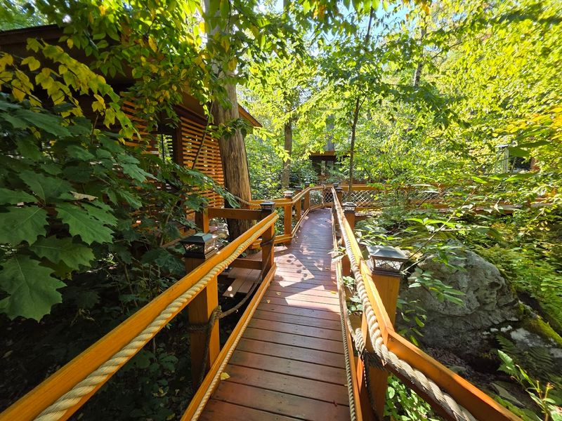 Planning Your Visit: Reservations, Timing, and Tips