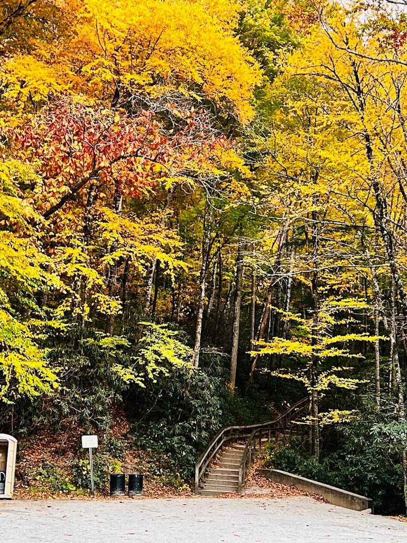 The Cultural Significance of the Cherokee Land