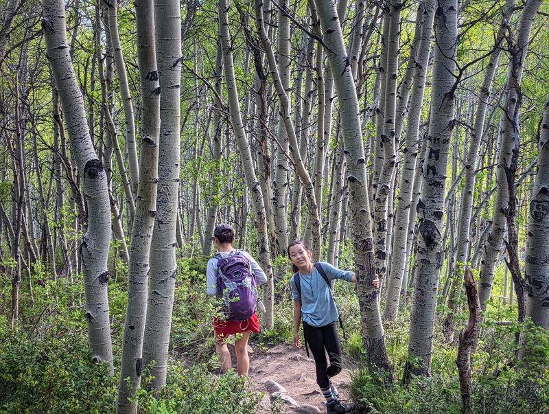 Trail Difficulty and Who Should Hike It