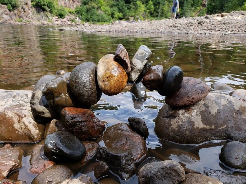 Kids, Pets, and Family-Friendly Tips