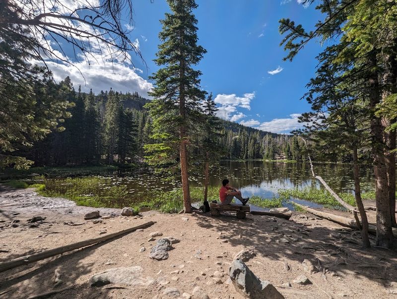 Photography Tips for Capturing the Magic