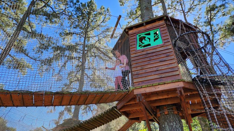 TreeWalk Adventure and Play Zones