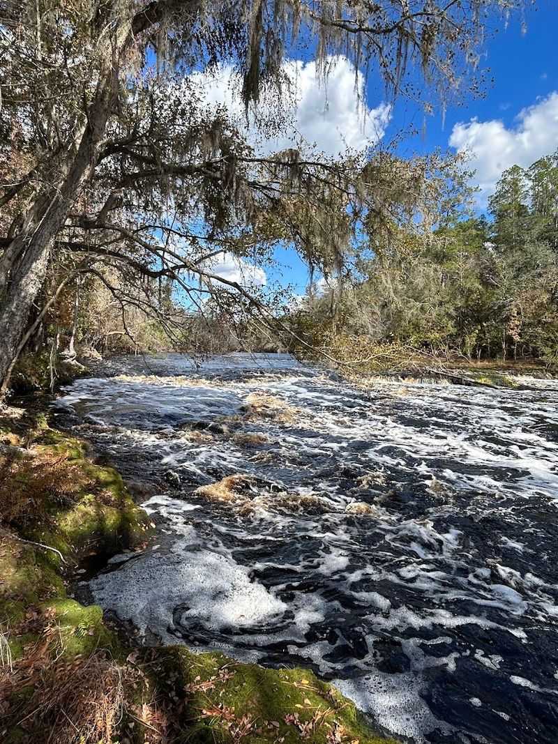 What Makes These Rapids Unique