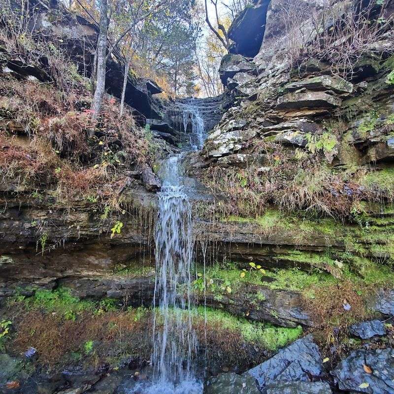 Seasonal Timing and Weather Sweet Spots