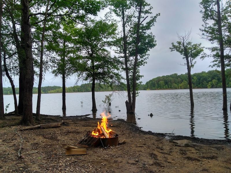 Kerr Lake State Recreation Area (Henderson, NC)
