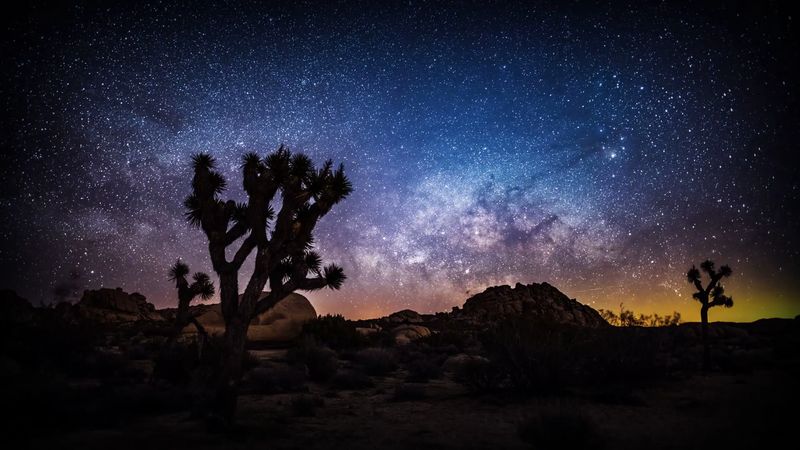 Joshua Tree National Park