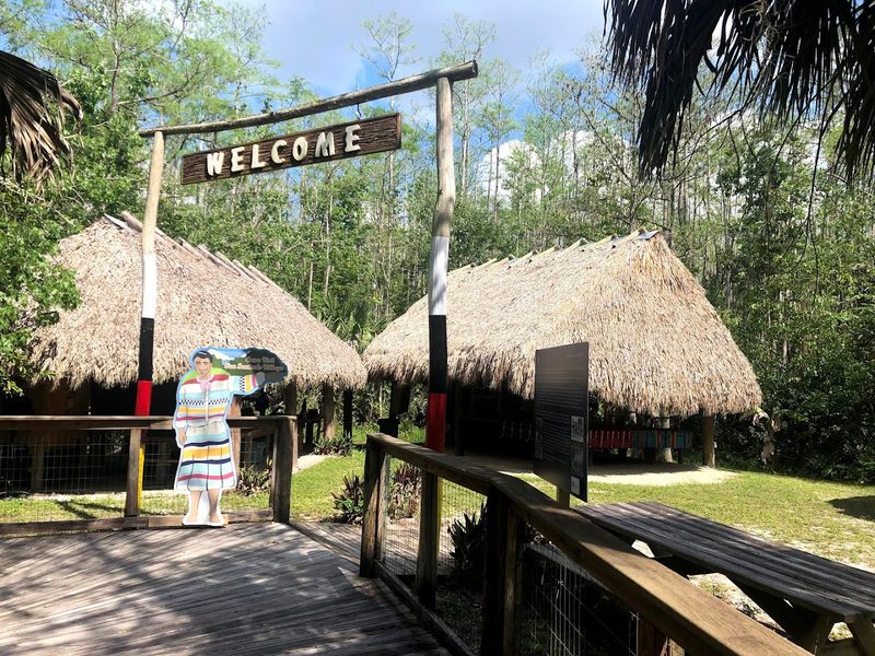 How the Museum Came to Be: Founding and Accreditation