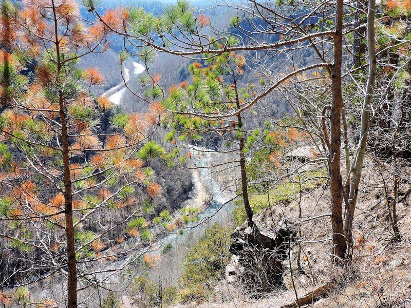 Trail Basics and Distance