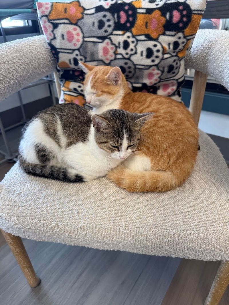 Essential Visitor Information Before You Go